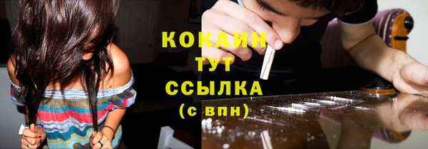 стаф Карпинск