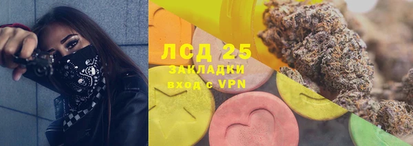 стаф Карпинск