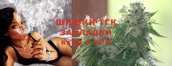 стаф Карпинск
