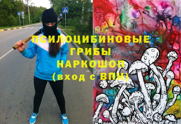 мдпв Киреевск
