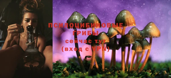 Альфа ПВП Карталы